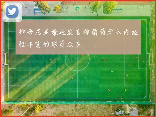 维蒂尼亚谦逊发言称葡萄牙队内经验丰富的球员众多